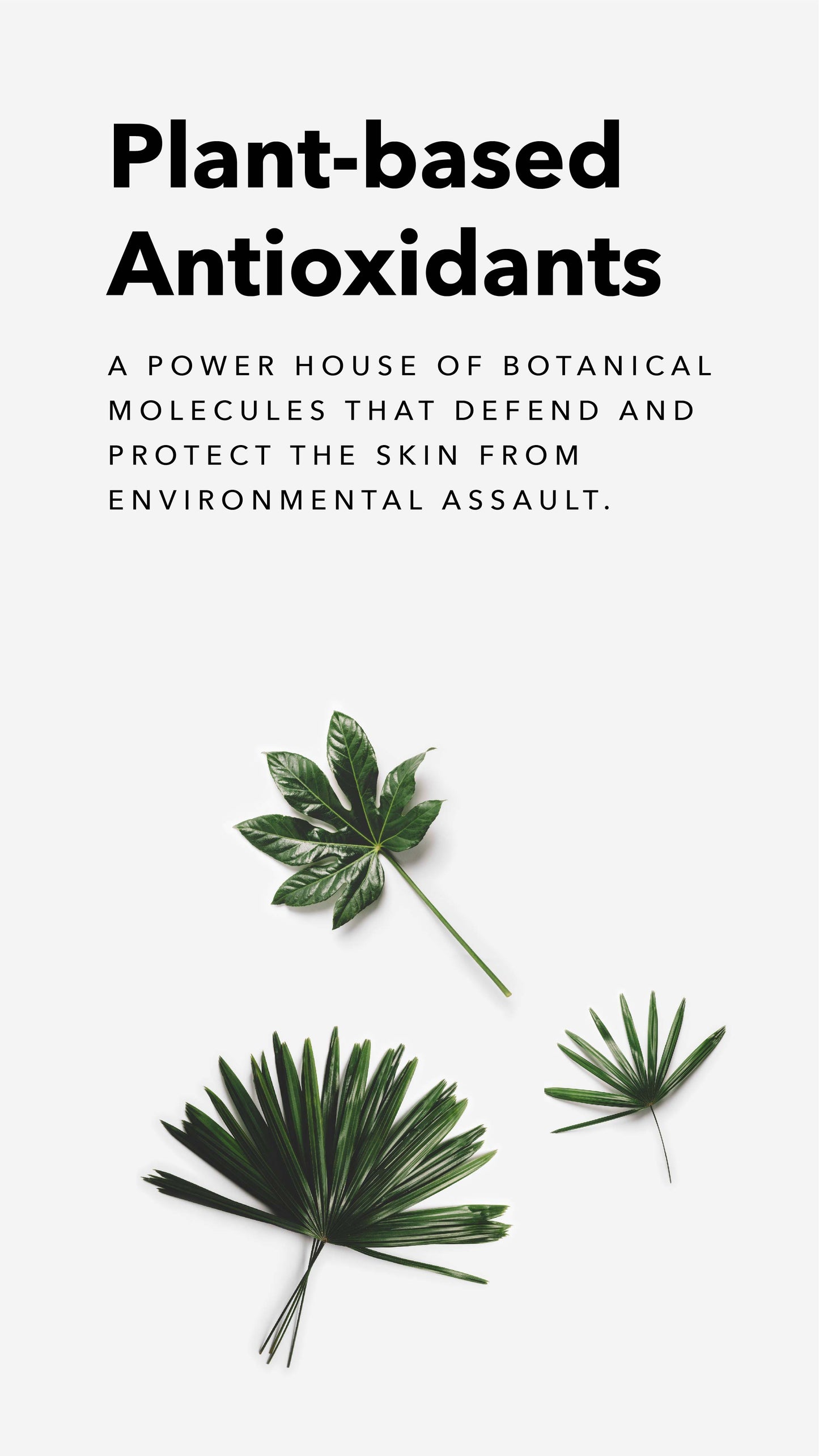 AnteAGE MD System with Biosomes (Serum & Accelerator)