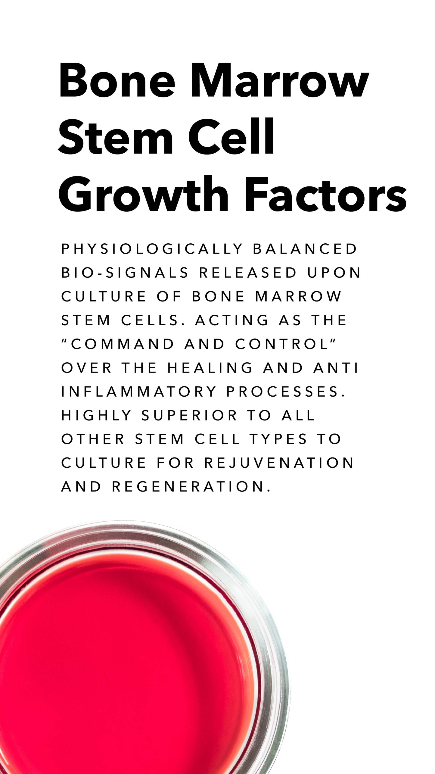 AnteAGE MD System with Biosomes (Serum & Accelerator)