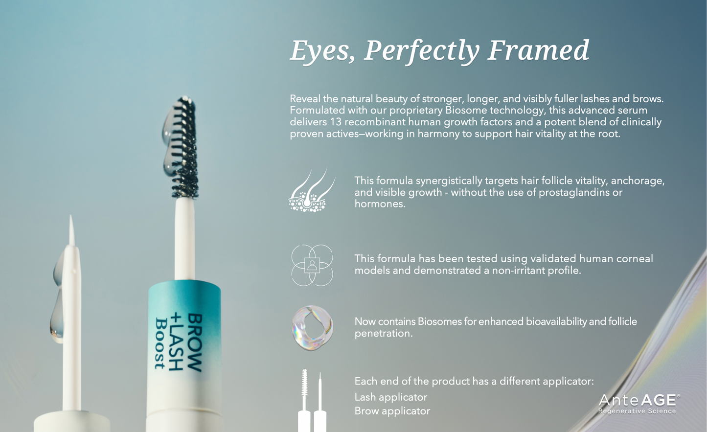 AnteAGE Brow & Lash Serum
